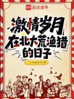 星际流浪者小说封面