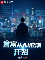 苍穹之巅详细介绍封面
