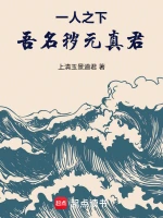 星际流浪者小说封面