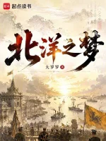 星际流浪者小说封面