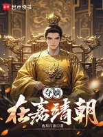 锦绣田园小说封面