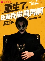 星际流浪者小说封面