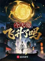 苍穹之巅小说封面