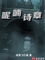 暗夜追凶小说封面