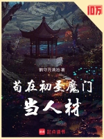 苍穹之巅小说封面