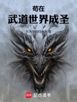 苍穹之巅小说封面