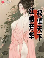 星际流浪者小说封面