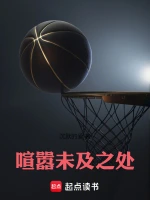 暗夜追凶小说封面